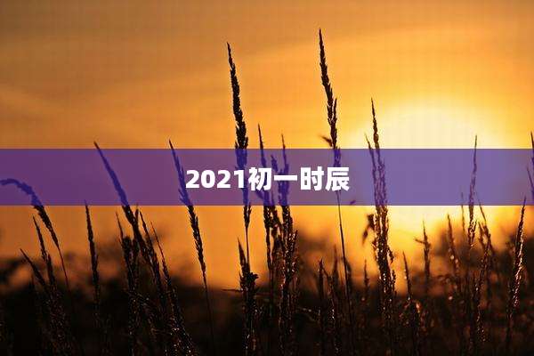 2021初一时辰