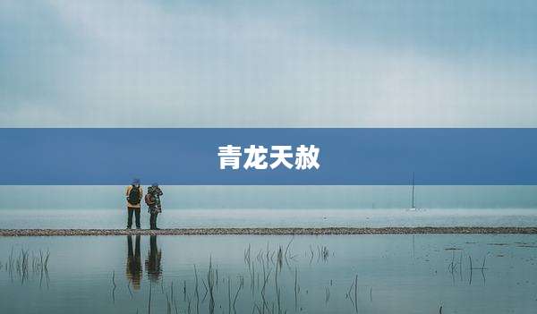 青龙天赦