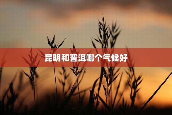 昆明和普洱哪个气候好