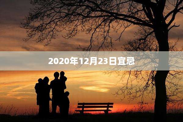 2020年12月23日宜忌