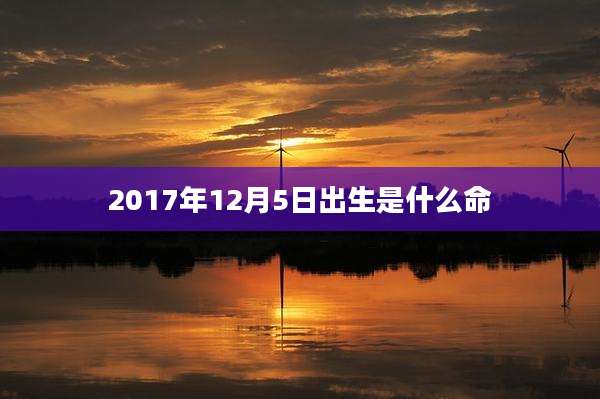 2017年12月5日出生是什么命