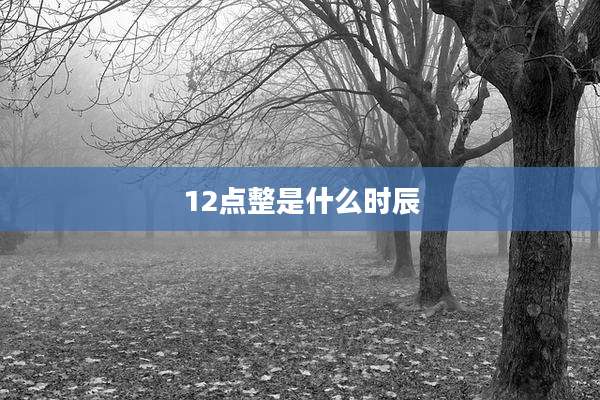 12点整是什么时辰