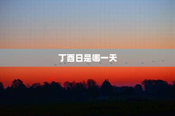 丁酉日是哪一天