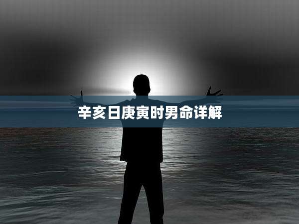 辛亥日庚寅时男命详解