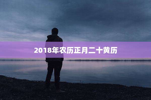 2018年农历正月二十黄历