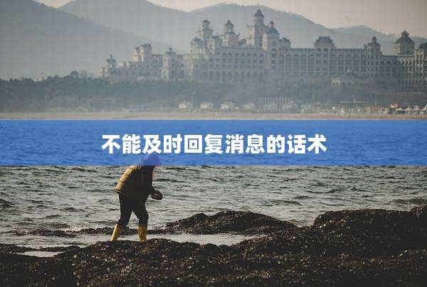 不能及时回复消息的话术