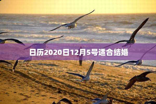 日历2020日12月5号适合结婚
