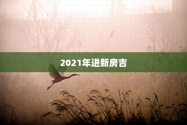 2021年进新房吉