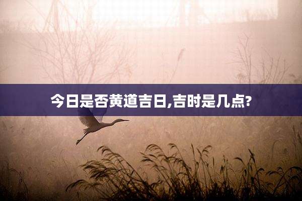 今日是否黄道吉日,吉时是几点?