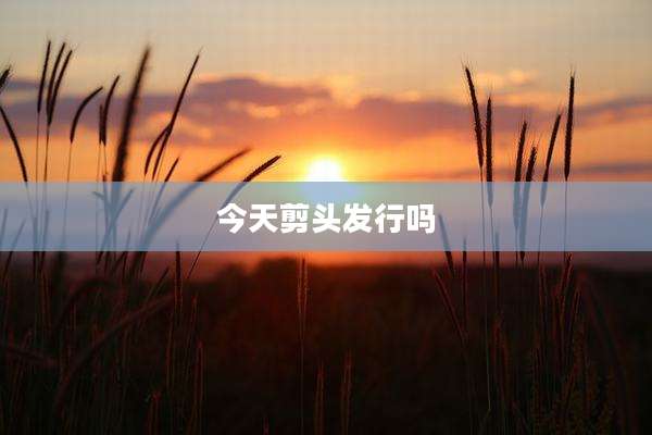 今天剪头发行吗