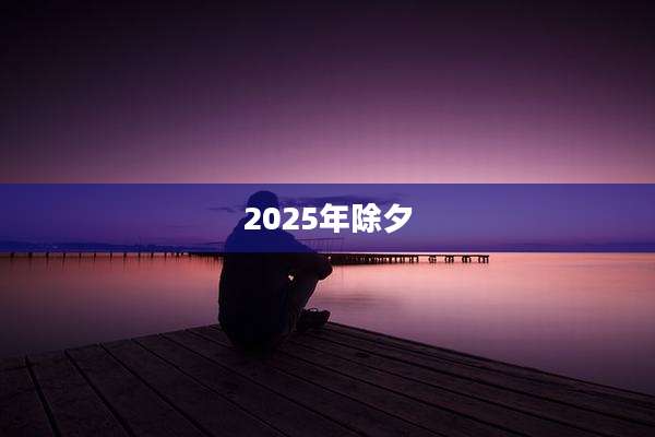 2025年除夕
