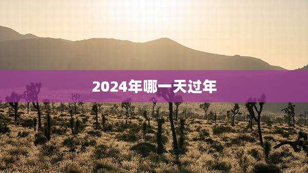 2024年哪一天过年