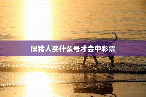 属猪人买什么号才会中彩票