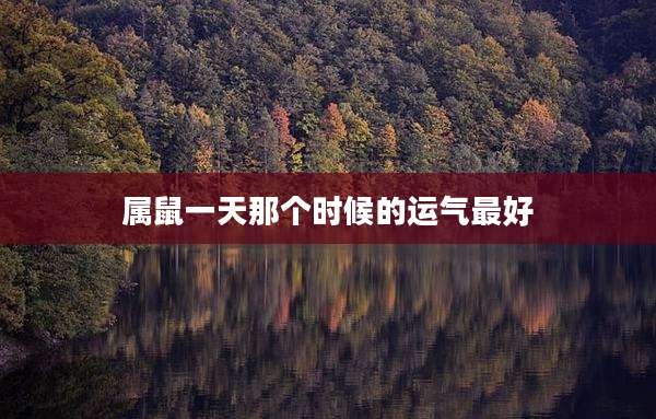 属鼠一天那个时候的运气最好