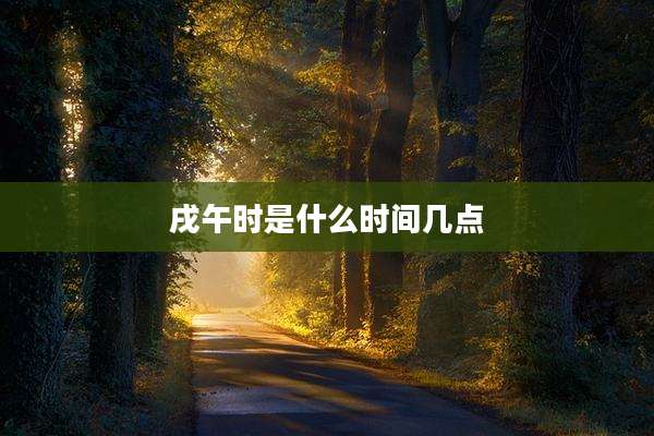 戌午时是什么时间几点