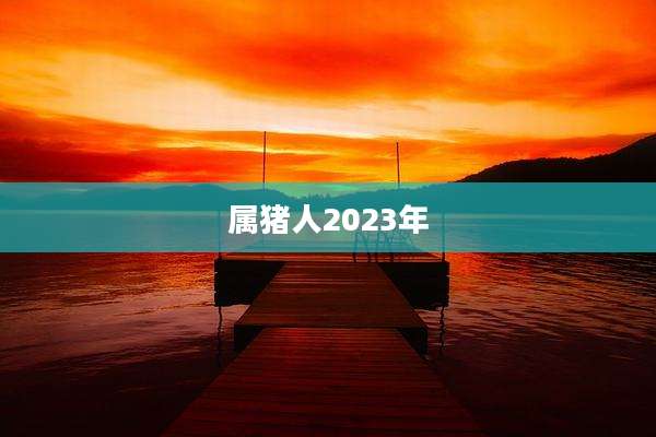 属猪人2023年
