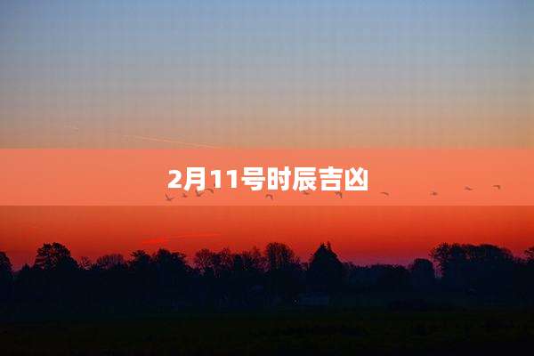 2月11号时辰吉凶