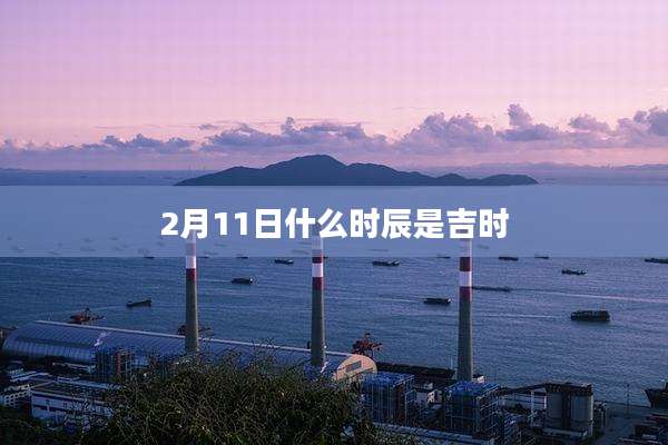 2月11日什么时辰是吉时