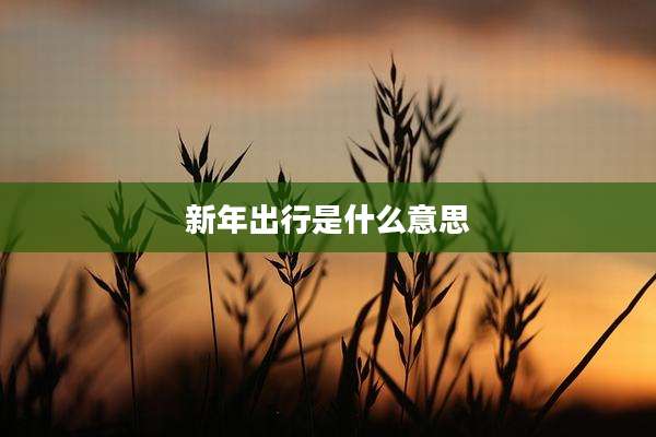 新年出行是什么意思