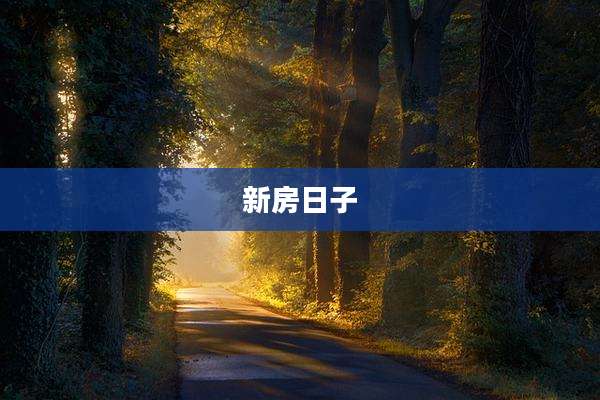 新房日子