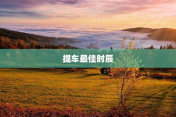 提车最佳时辰