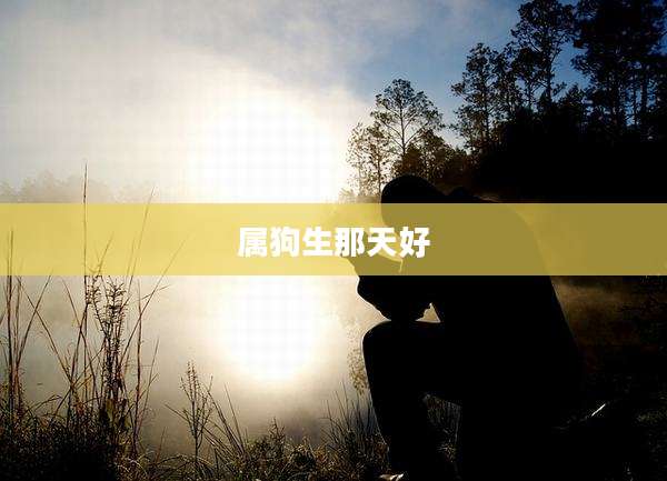 属狗生那天好
