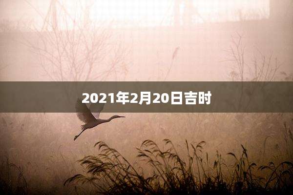 2021年2月20日吉时