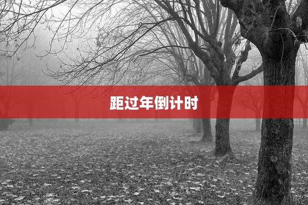 距过年倒计时