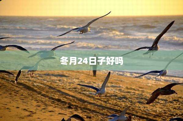 冬月24日子好吗
