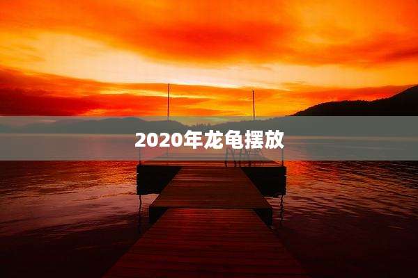 2020年龙龟摆放