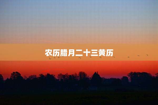 农历腊月二十三黄历