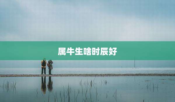 属牛生啥时辰好