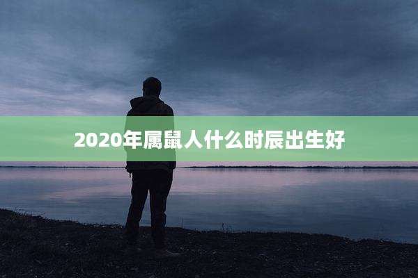 2020年属鼠人什么时辰出生好