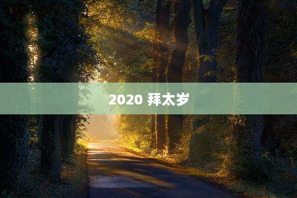 2020 拜太岁