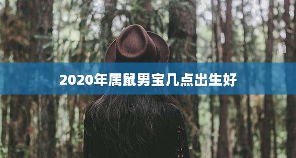 2020年属鼠男宝几点出生好