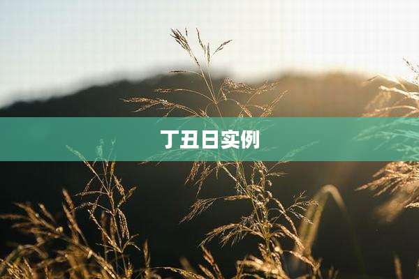 丁丑日实例