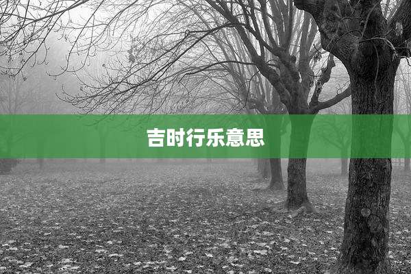 吉时行乐意思