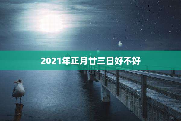2021年正月廿三日好不好