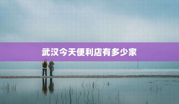 武汉今天便利店有多少家