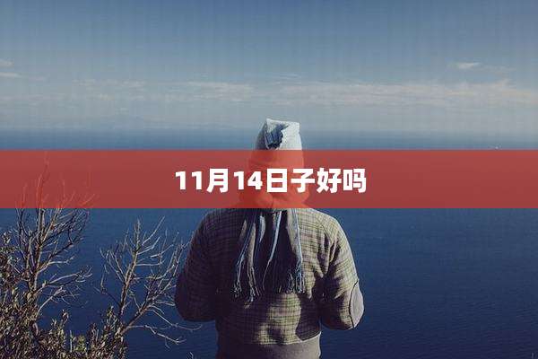 11月14日子好吗