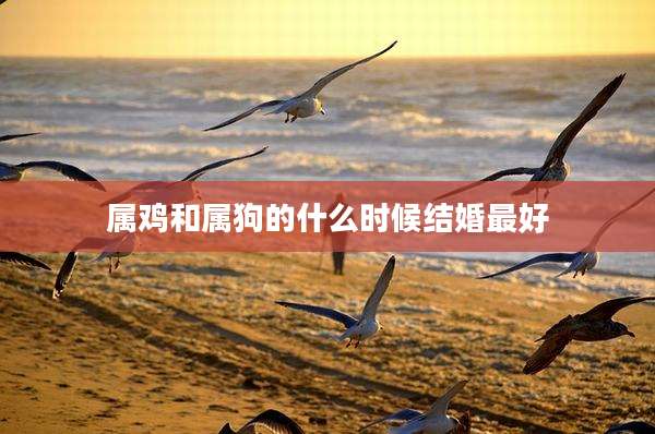 属鸡和属狗的什么时候结婚最好