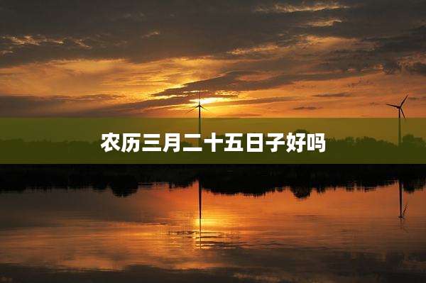 农历三月二十五日子好吗
