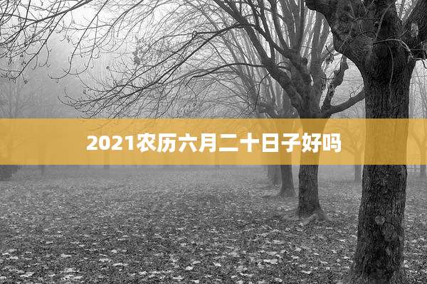 2021农历六月二十日子好吗