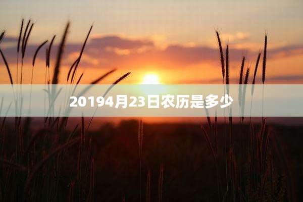 20194月23日农历是多少