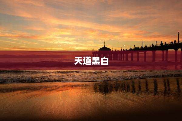 天道黑白