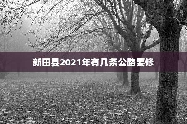 新田县2021年有几条公路要修