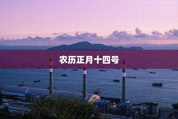 农历正月十四号