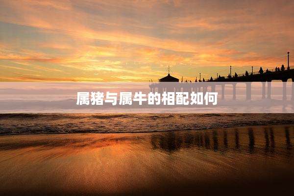 属猪与属牛的相配如何