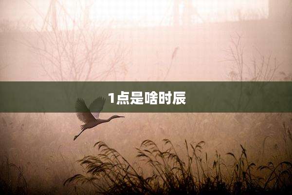 1点是啥时辰