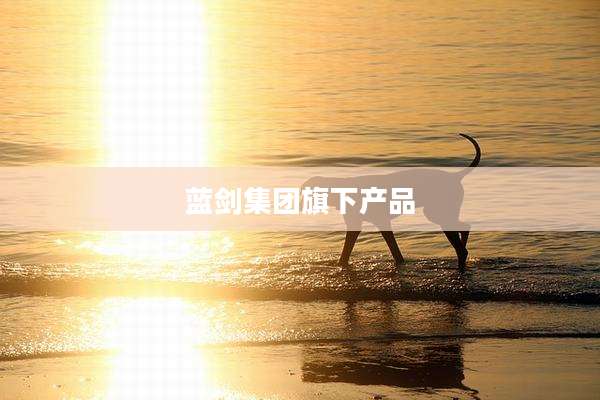 蓝剑集团旗下产品